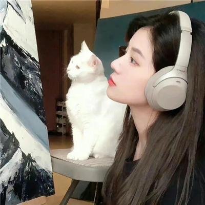 爱在飞